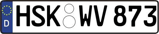 HSK-WV873