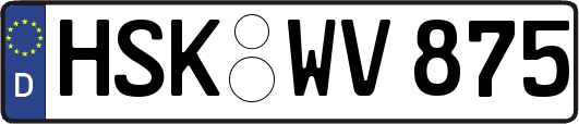HSK-WV875