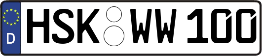 HSK-WW100