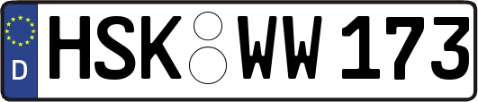 HSK-WW173