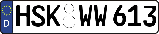 HSK-WW613