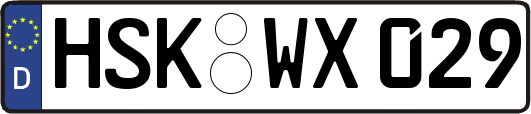 HSK-WX029