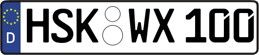 HSK-WX100