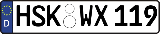 HSK-WX119