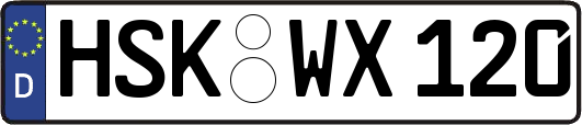 HSK-WX120