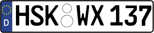 HSK-WX137