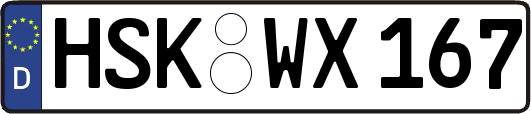 HSK-WX167