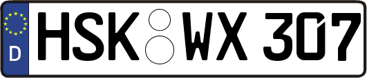 HSK-WX307