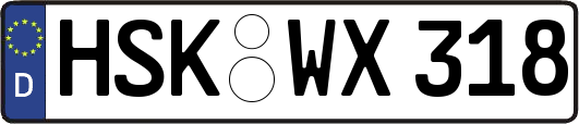 HSK-WX318