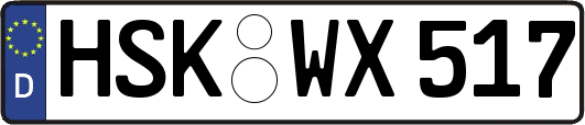 HSK-WX517