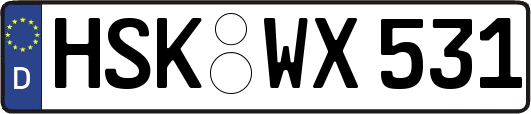HSK-WX531