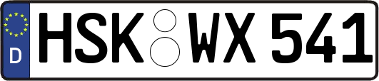HSK-WX541