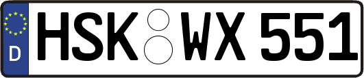 HSK-WX551