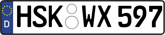 HSK-WX597