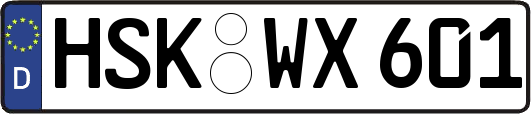 HSK-WX601