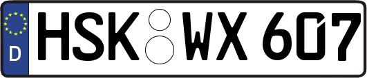 HSK-WX607