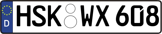 HSK-WX608