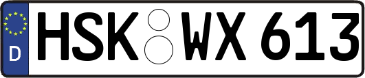 HSK-WX613
