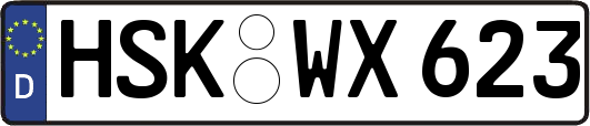 HSK-WX623