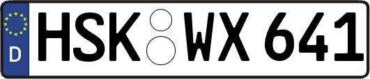 HSK-WX641