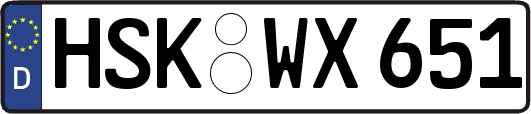 HSK-WX651