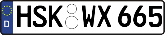 HSK-WX665