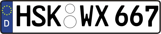 HSK-WX667