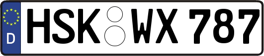 HSK-WX787