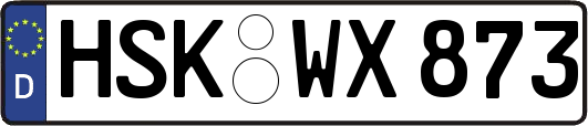 HSK-WX873