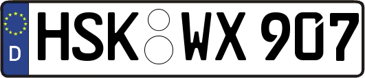 HSK-WX907