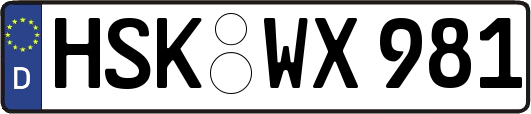 HSK-WX981