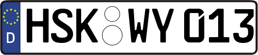 HSK-WY013