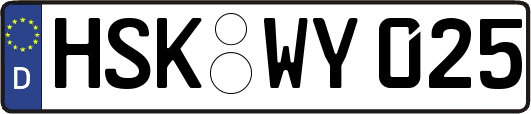HSK-WY025