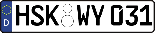 HSK-WY031