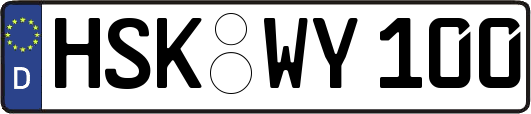 HSK-WY100