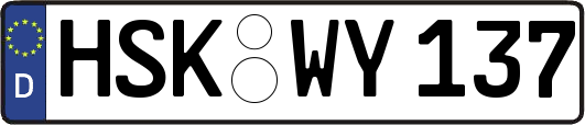 HSK-WY137