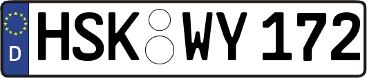 HSK-WY172