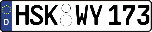 HSK-WY173