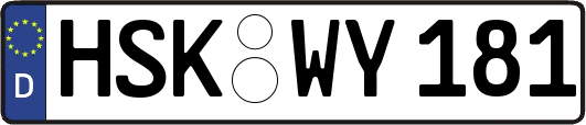 HSK-WY181