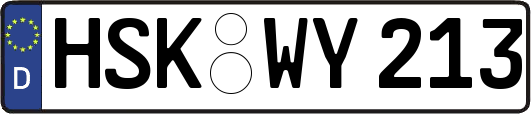 HSK-WY213