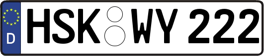 HSK-WY222