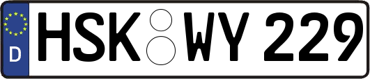 HSK-WY229