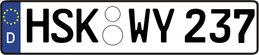 HSK-WY237