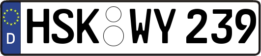 HSK-WY239