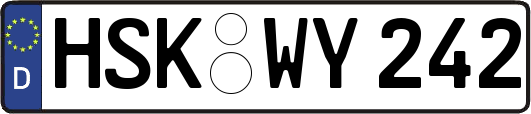 HSK-WY242