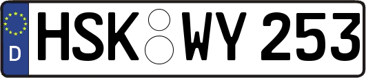 HSK-WY253