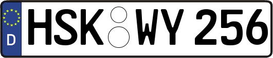 HSK-WY256