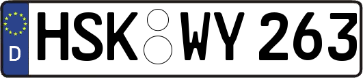 HSK-WY263