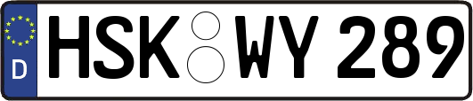 HSK-WY289