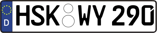 HSK-WY290